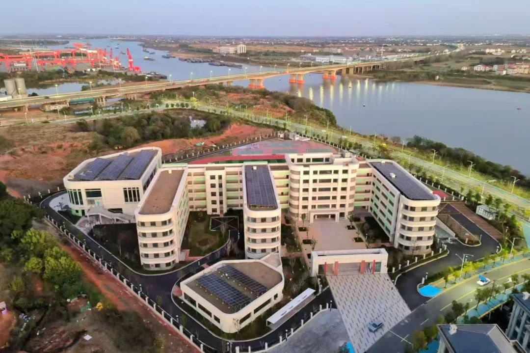 1732759394572655.jpg 1732759394572655.jpg