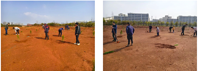 1742955067198675.png 1742955067198675.png