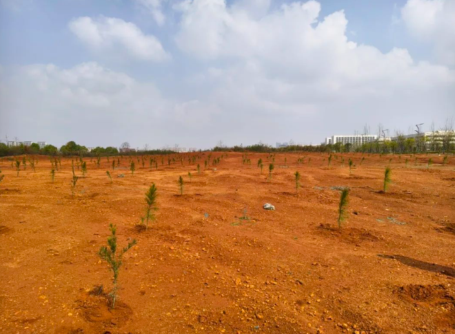 1742955082815844.png 1742955082815844.png