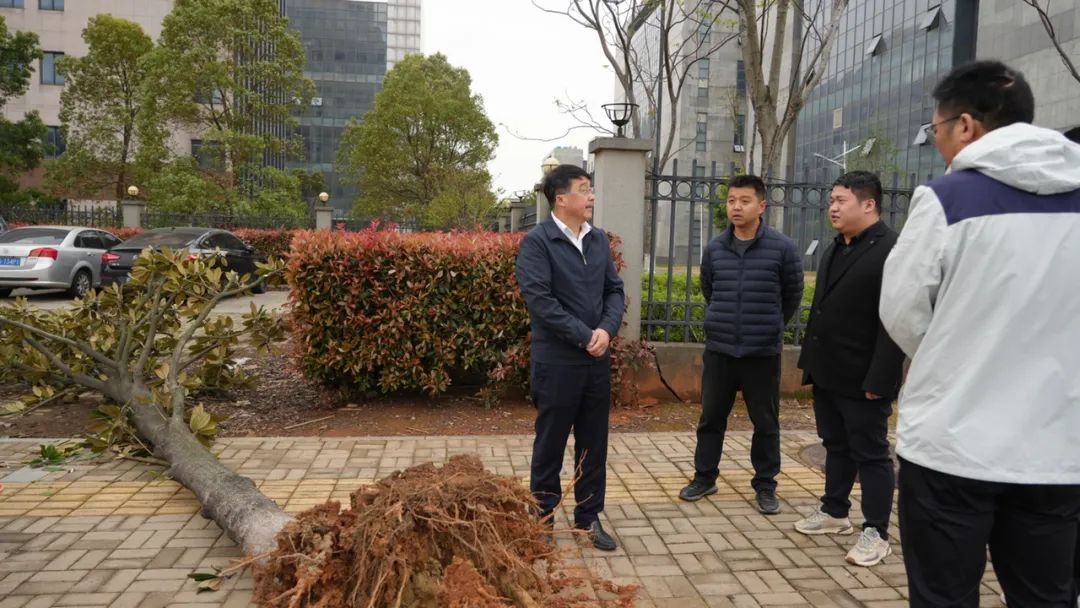 1743392357567157.jpg 1743392357567157.jpg