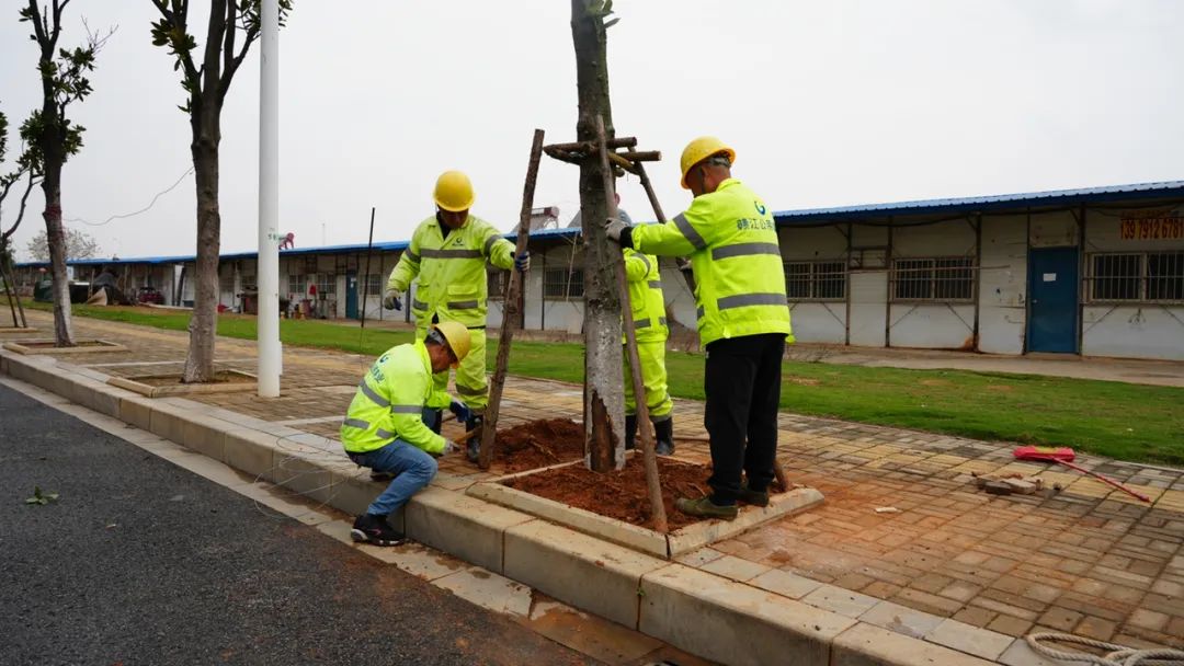 1743392365760079.jpg 1743392365760079.jpg