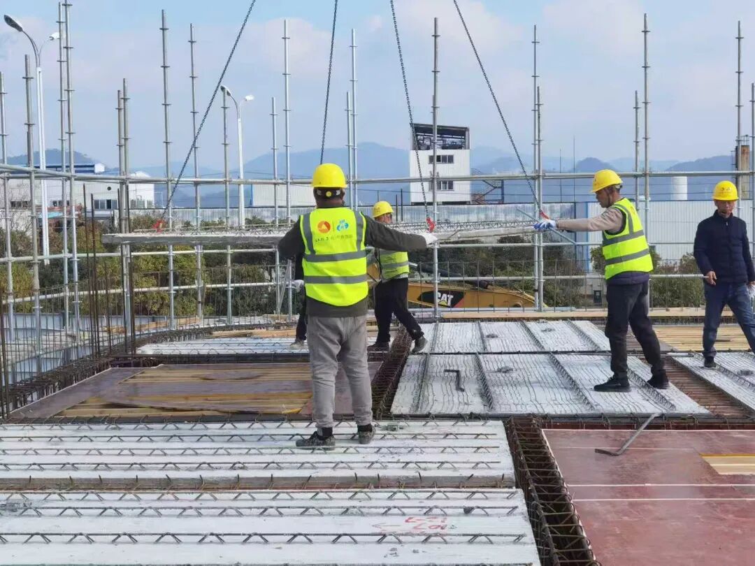 1760494699600866.jpg 1760494699600866.jpg