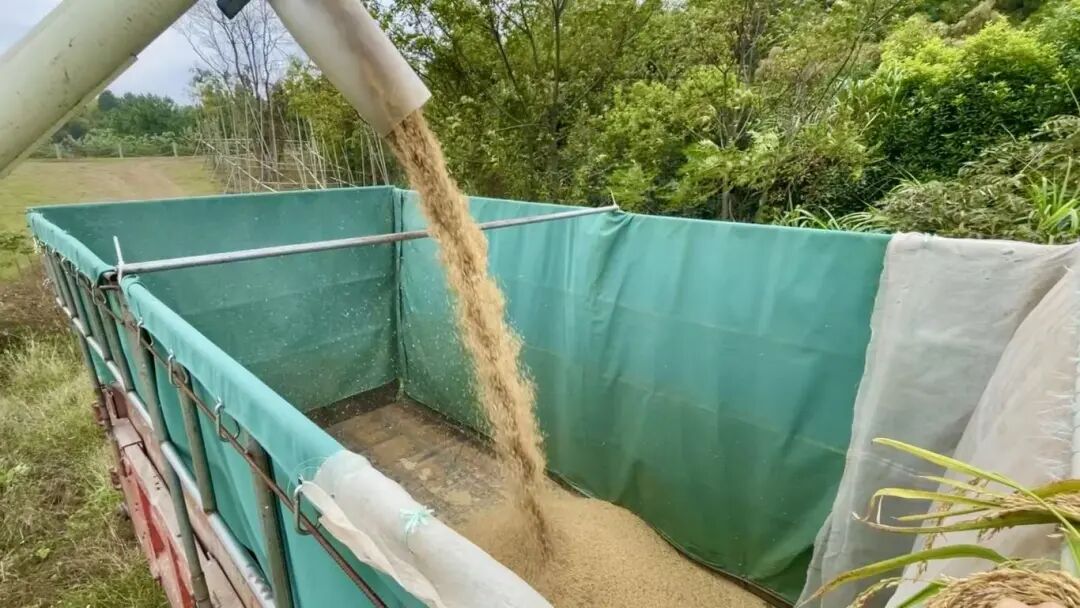 1761537432561687.jpg 1761537432561687.jpg