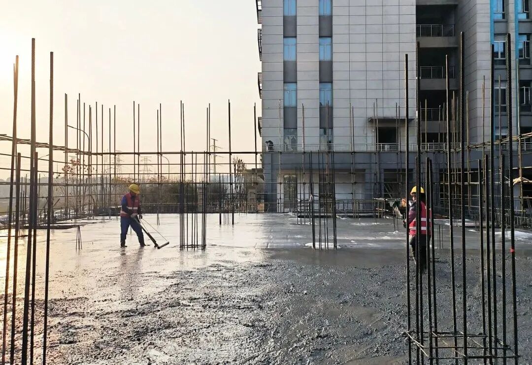 1770345190385916.jpg 1770345190385916.jpg