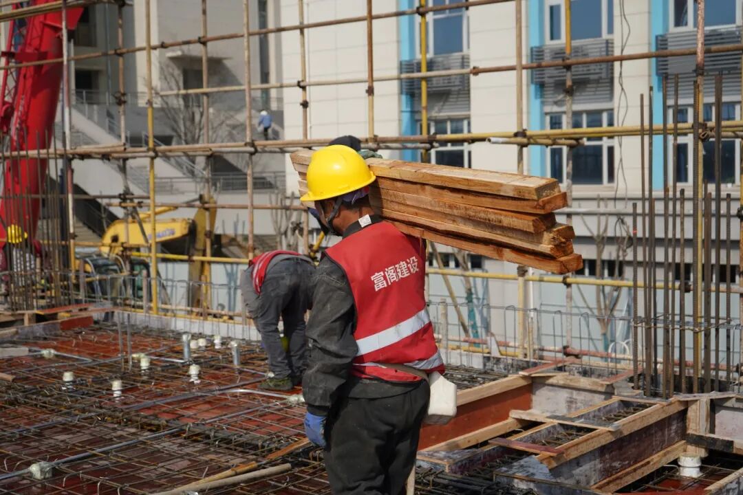 1770345212399264.jpg 1770345212399264.jpg