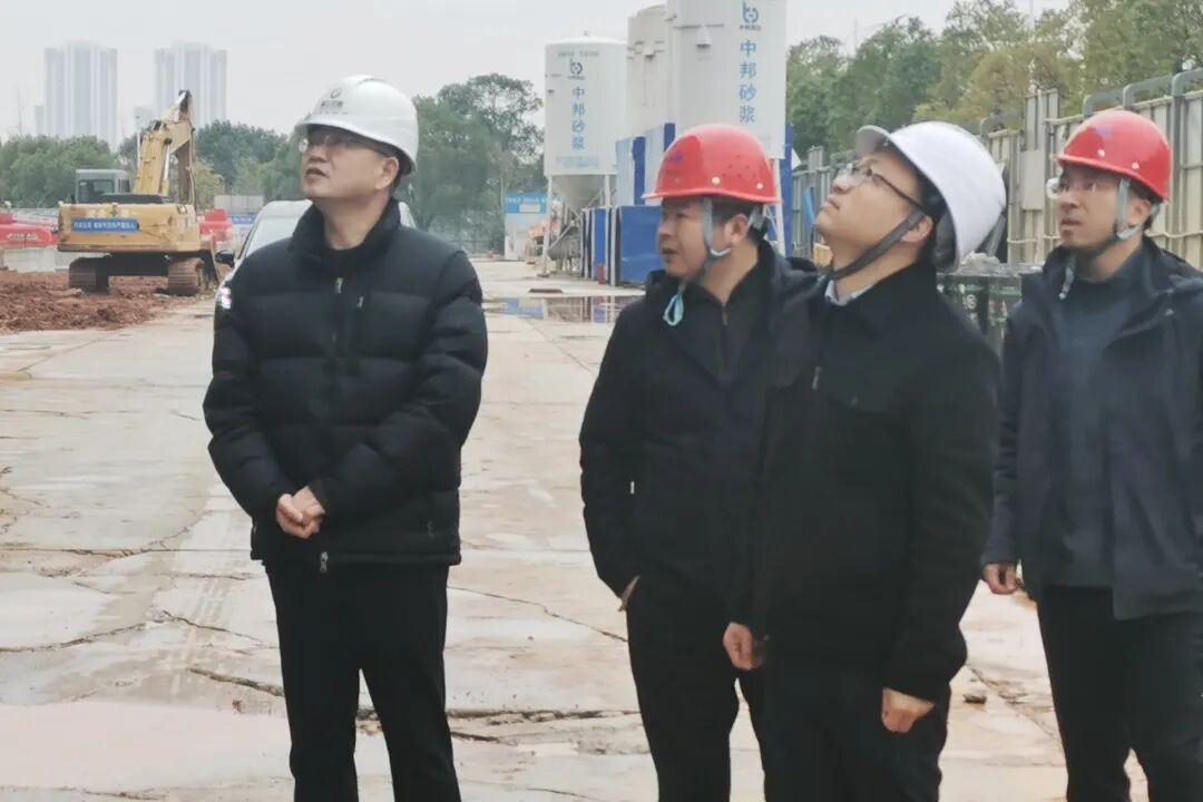 1771058145196958.jpg 1771058145196958.jpg